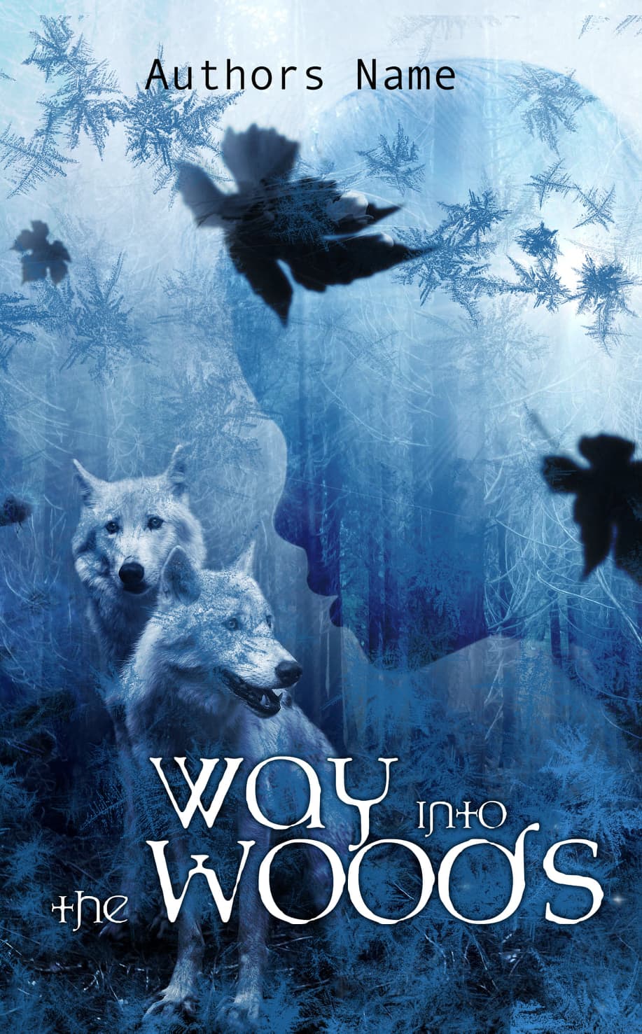 Premade-Cover „Way Into The Woods“